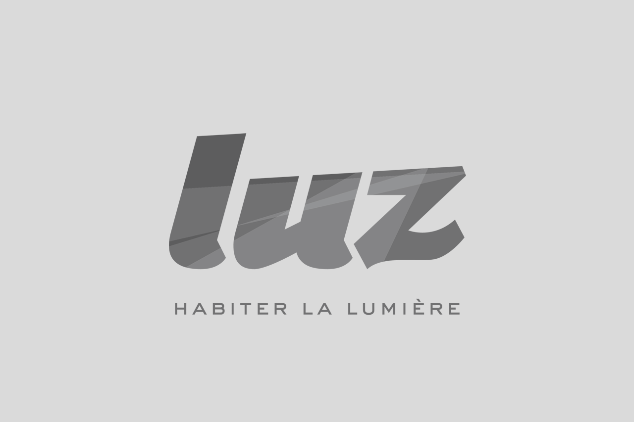 LUZ logo